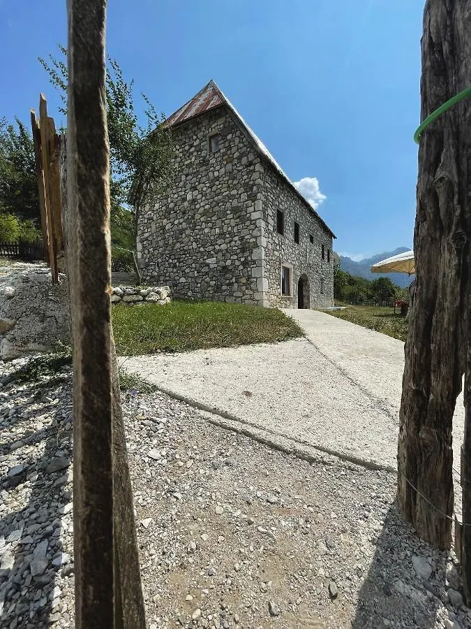 Guest House Rrashkadoli Тети 0*,  Албания