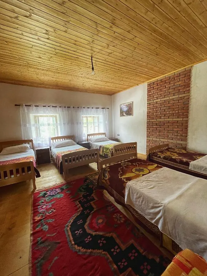Guest House Rrashkadoli Тети 0*,